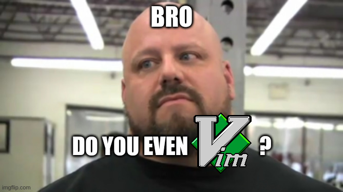 Mème 'Bro do you even' modifié pour afficher le logo de Vim